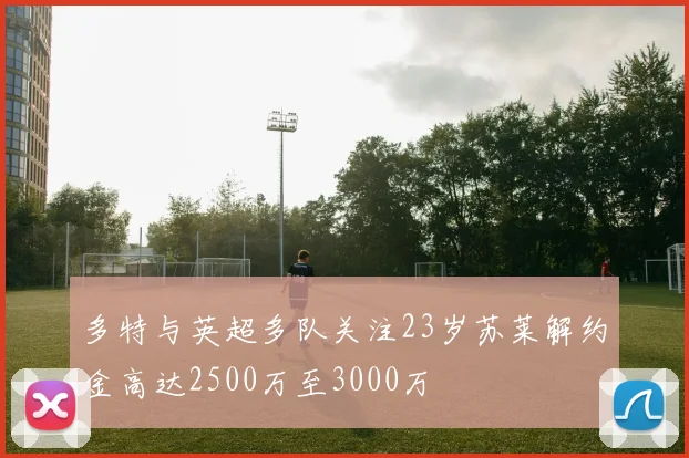 多特与英超多队关注23岁苏莱解约金高达2500万至3000万
