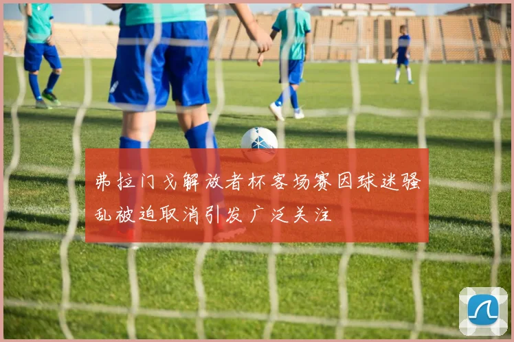弗拉门戈解放者杯客场赛因球迷骚乱被迫取消引发广泛关注